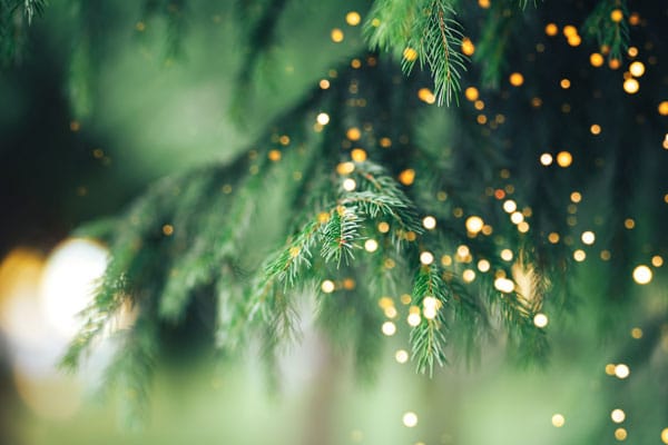 Toska's Holiday Gift Guide