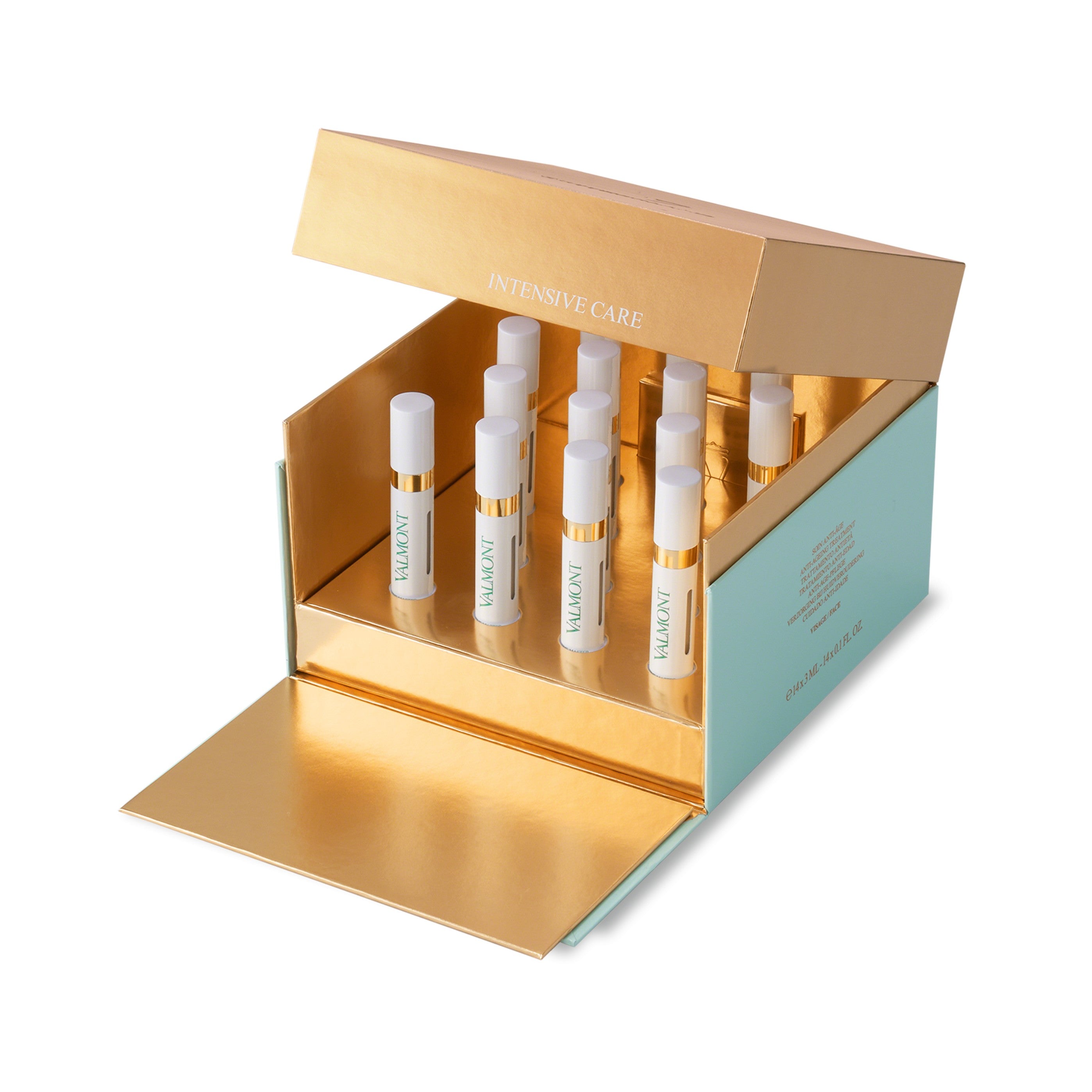 Time Master Intensive Program