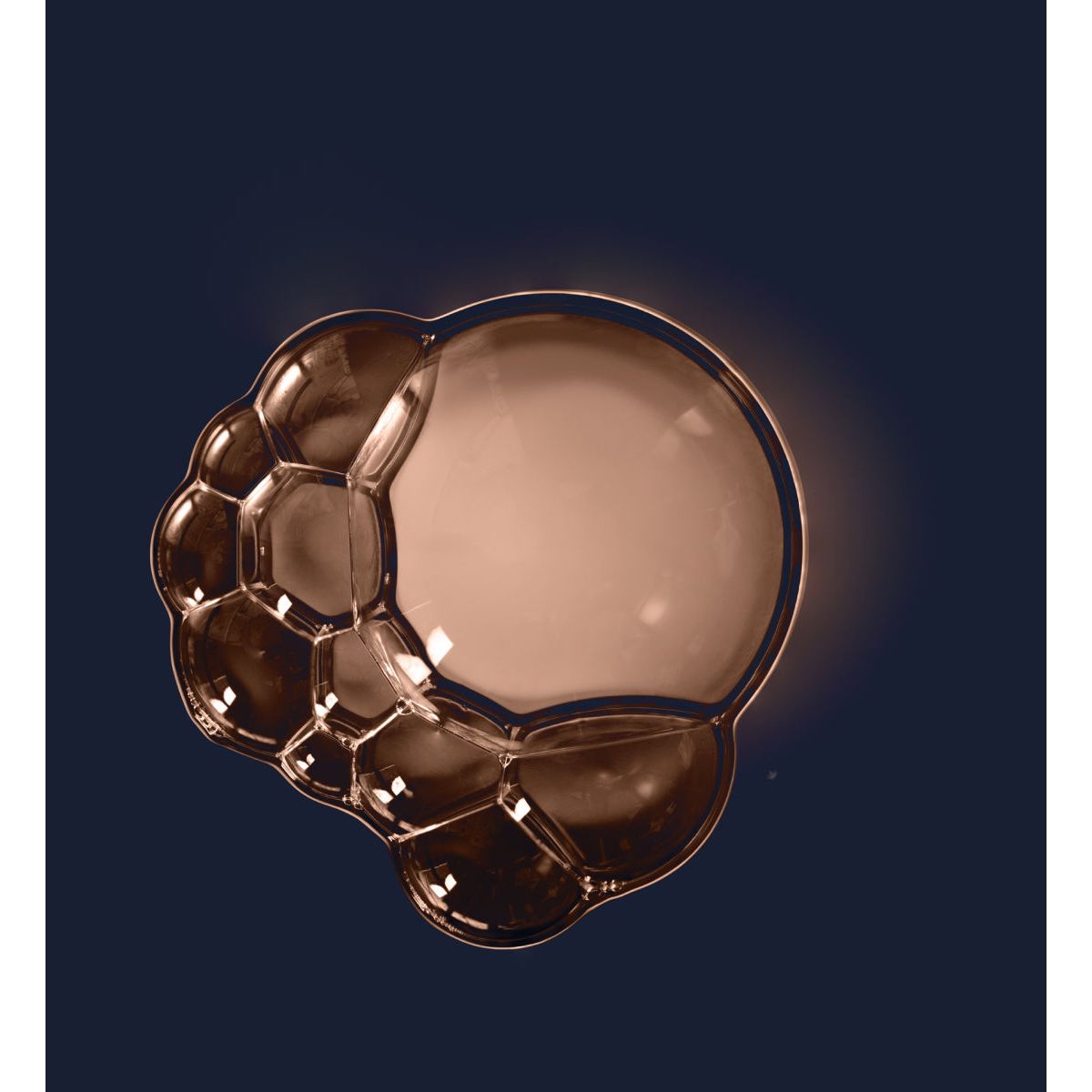 Extraits Tissulaires