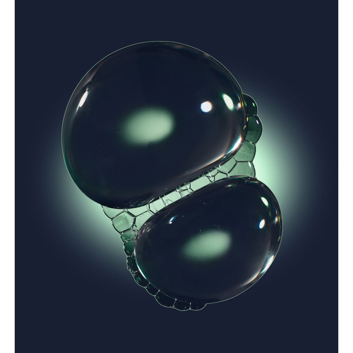 Oligo-Proteines Marines