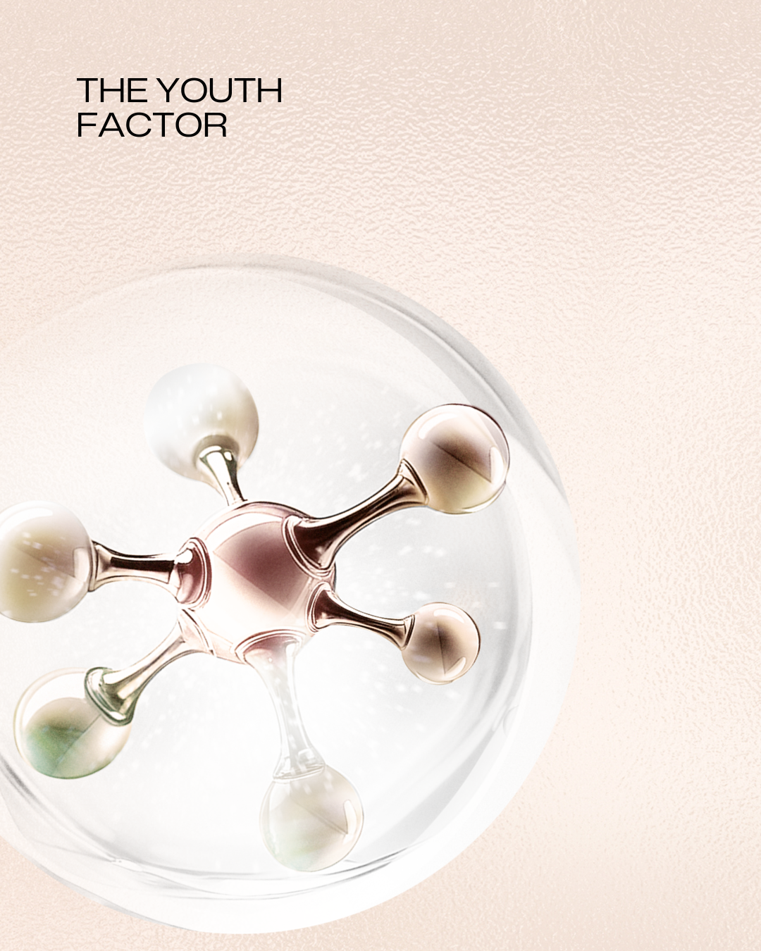 Extremely Nutritive Cream